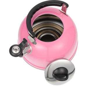 Pink Stainless Steel Camping Teapot